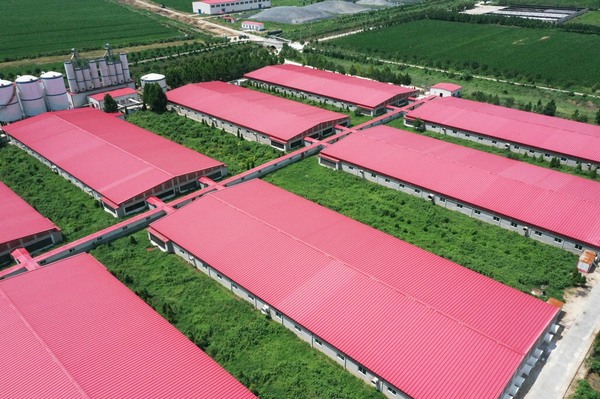 "붉은" 산업 철강 건물 프로젝트 case3-1